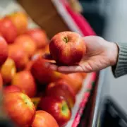 Stop Wasting Apples! The Fridge Secret That Keeps Them Crisp For Months