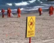 Sydney's Fatberg Crisis: Shocking Source of Beach Contamination Revealed