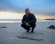 Sydney's Transport Crisis: Major Delays Hit Trains and Roads Amid Power Failure