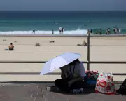 Sydney's Transport Crisis: Major Disruption as Trains Halt Amid Power Failure