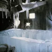 The Exorcist's Chilling Legacy: Why This 50-Year-Old Horror Masterpiece Still Haunts Audiences Today