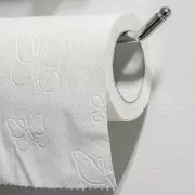 The Great British Loo Roll Debate: Over Or Under Hanging Reveals Your Personality