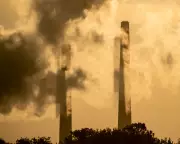 The Hidden Hand: How Corporate Middlemen Obscure True Fossil Fuel Profits in Australia