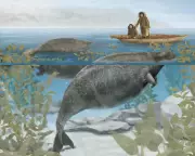 The Last Sea Cow: A Haunting Tale of Human Greed and Extinction