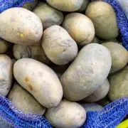 The Potato Preservation Secret: Keep Spuds Fresh for Months Without Sprouting