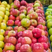 The Real Meaning of 'F' on Knives Revealed - And It's Not What You Think