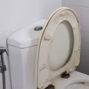 The Secret to Keeping Your Toilet Seat Sparkling White Revealed
