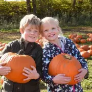 The UK's Ultimate Pumpkin Patch Guide: Top Family-Friendly Farms for Autumn Fun