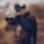 The Western Gem You Missed: How 'Seraphim Falls' Became a Cult Classic