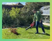 This Ingenious Garden Gadget Is Revolutionising Outdoor Tidying - And Making It Fun!