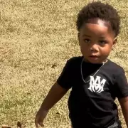 Toddler Tragically Mauled to Death by Family Dogs in Horrific Backyard Incident