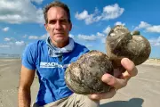Toxic Mystery: Strange Box-Shaped Fruits Wash Up on Texas Beaches Sparking Health Alert