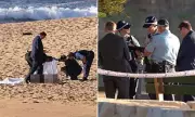 Tragedy at Manly Vale: Sydney Beach Claims Life of British Tourist in Suspected Drowning