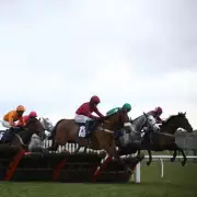 Tragedy at Wetherby as Horse Anaconda Suffers Fatal Fall in Charlie Hall Chase