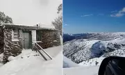 Tragedy on Mount Bogong: Two Women Perish in Freezing Conditions on Australia's Highest Peak