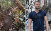 Tragic Discovery in Brazilian Jungle: Body Found in Search for Missing British-Brazilian Man