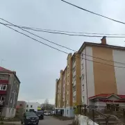 Tragic Newborn Perishes After Being Left in Shopping Bag Amid Freezing London Temperatures