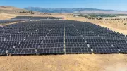 Trump Administration Axes Major Solar Project in Latest Blow to US Renewable Energy