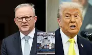 Trump and Albanese Forge Unprecedented Transatlantic Carbon Tax Alliance