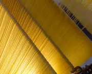 Trump's Pasta Tariffs Threaten to Crush Italy's Culinary Heritage