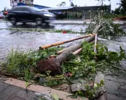 Typhoon Matmo Batters Southern China: Millions Without Power as Storm Unleashes Fury