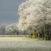 UK Weather Alert: New Maps Reveal Exact Date Arctic Blast Will Hit Britain