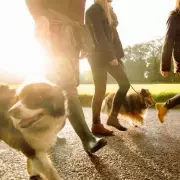 UK Weather Breakthrough: Exact Date Arctic Blast Finally Loses Its Grip