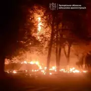 Ukraine's Daring Black Sea Strike Obliterates Putin's Prized £55m Warship in Devastating Missile Attack