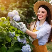 Unlock Stunning Autumn Hydrangeas: Expert Gardening Secrets Revealed