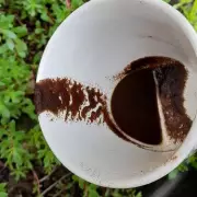 Unlock Your Garden's Potential This October: The Coffee Grounds Secret Every Gardener Needs