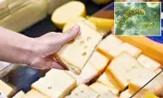 Urgent Listeria Alert: Amish-Style Cheese Recalled Across UK Amid Health Fears