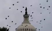 US Government Shutdown Crisis: Countdown to Chaos as Congress Deadlock Threatens Federal Freeze