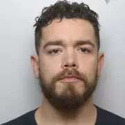 Vets Issue Urgent Heatwave Warning After Dog's Tragic Death on Evening Walk