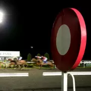 Wednesday's Winning Horses: The Newsboy's Top Racing Tips & NAP Selections