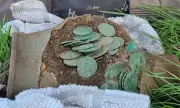 Welsh Metal Detectorist's Sleepless Night After Unearthing Massive 15,000 Roman Coin Hoard