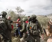 West Bank Impunity: How Palestinian Farmers Face Systematic Land Theft