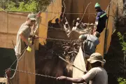 Wildlife Crisis: South Africa Erects 400km Fence to Protect Rhinos from Mozambique Poachers