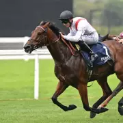 William Hill Punter Lands Incredible £1.50 to £32,000 Six-Fold Bet at Cheltenham Festival