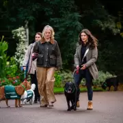 Winter Warning: Is Your Dog Getting Enough Exercise During Cold Months?