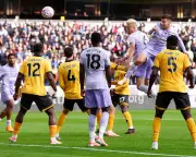 Wolves Maul Brighton in Seven-Goal Molineux Thriller | Premier League Drama