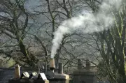 Wood Smoke Pollution Crisis: England Sees Just One Prosecution Despite Thousands of Complaints