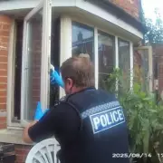 XL Bully Horror: Family Pet Mauls Man in Savage Attack - New Safety Fears Emerge