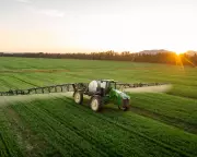 You Can't Escape: Shocking Study Reveals Pesticide Contamination in 100% of Tested Homes