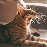 'You Need to Lose Weight' - My Boyfriend's Shocking Demand That Ended Our Relationship