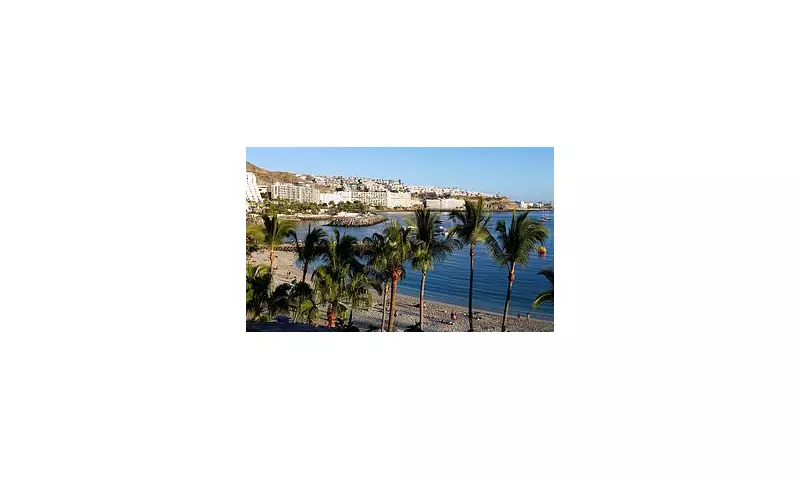 12 Gran Canaria Beaches Closed Due to Marine Pollution Crisis