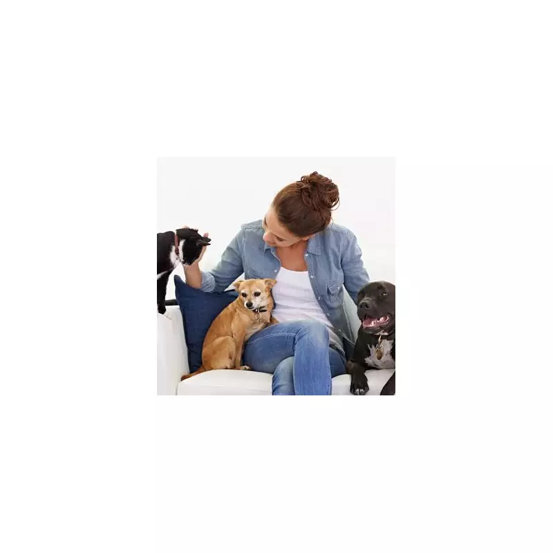 13 Cats, 3 Dogs, Zero Smell: The Monday Deep-Clean Secret