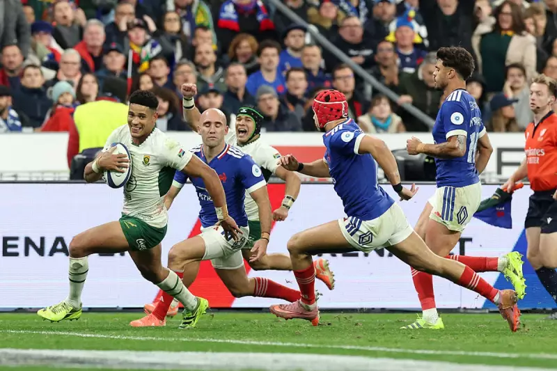 14-Man South Africa Stun France 32-17 in Dramatic Rugby Comeback