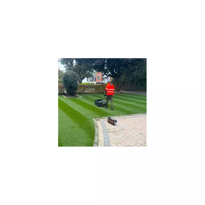 3 Essential Autumn Lawn Care Tips from Britain's Best Lawn Expert