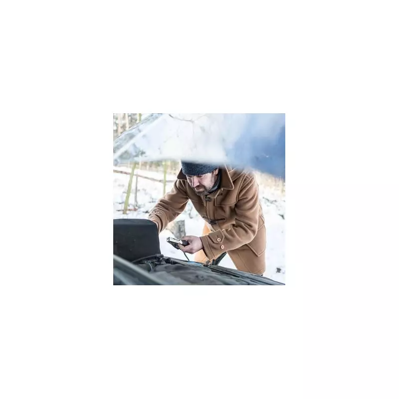 £5 trick prevents winter car breakdowns and saves hundreds