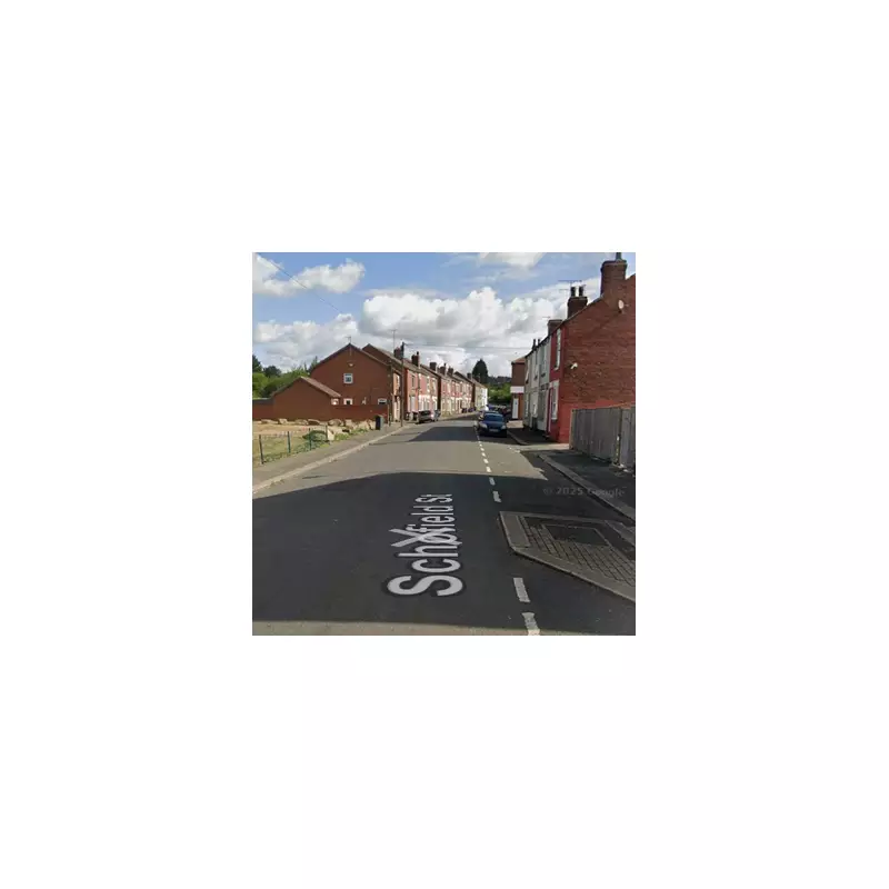 5-Year-Old Boy Mauled by 'Bull Breed' Dog in Sheffield Park